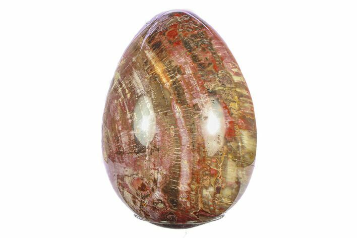 Colorful, Polished Petrified Wood Egg - Madagascar #286084